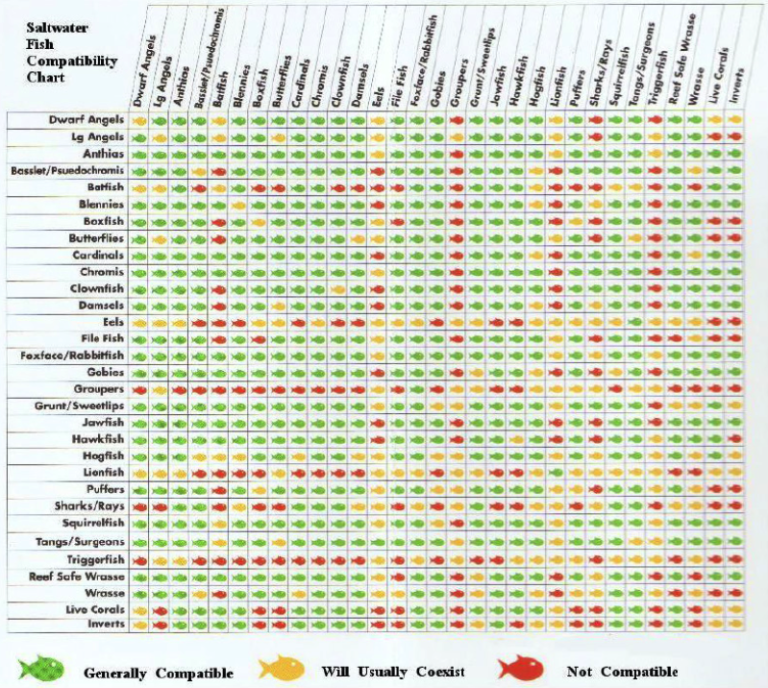 Saltwater Fish Compatibility Chart - Habitattitude™ Protect our environment