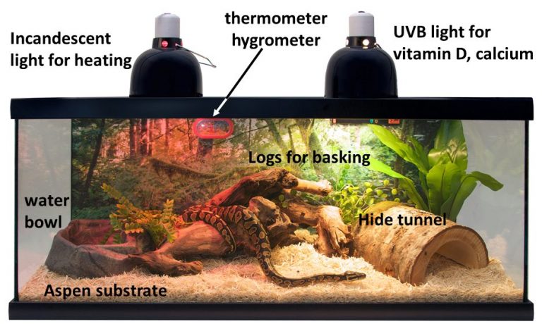 20 gal snake tank annotated - Habitattitude™ Protect our environment